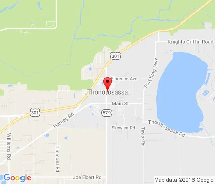 logo-image - Thonotosassa-FL